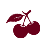Gabi Martins logo